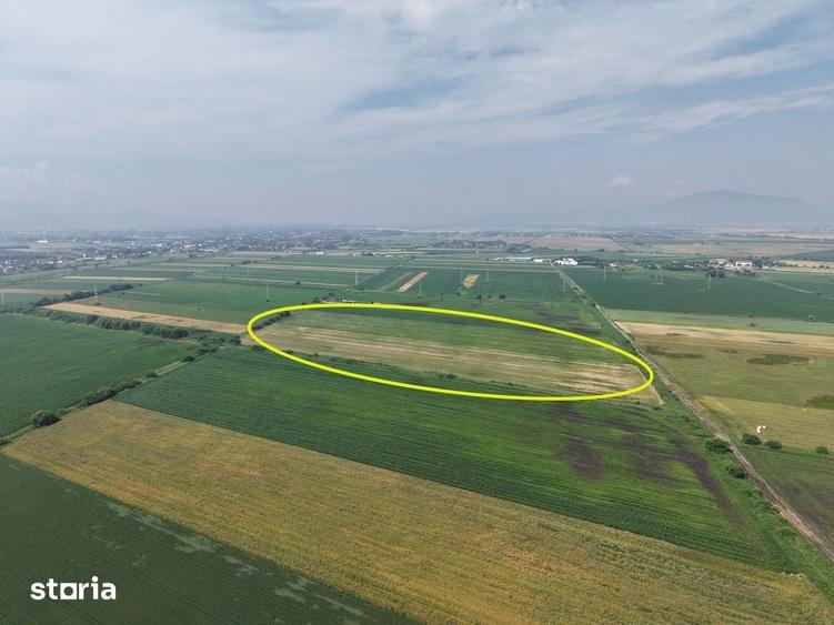 Teren de 52700 mp, în Stupini