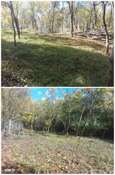 Teren de 3500 mp, în Berevoești