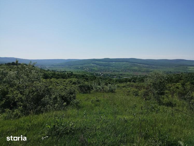 Teren de 350 mp, în Bârnova
