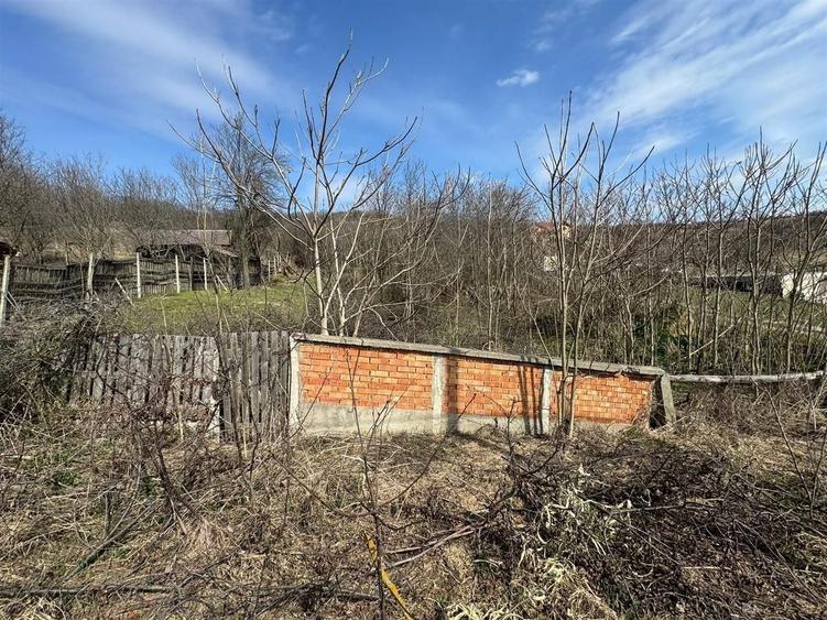 Teren Construcții intravilan de 11400 mp, în Corpadea