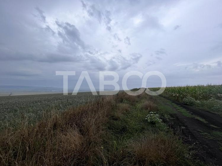 Teren agricol extravilan de 30000 mp, în Șura Mică
