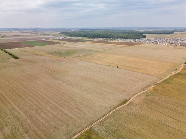 Teren Construcții intravilan de 7500 mp, în Dascălu