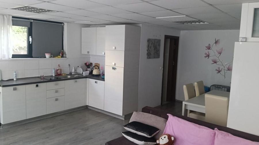Apartament cu 2 camere semidecomandat în Dosu Bricii