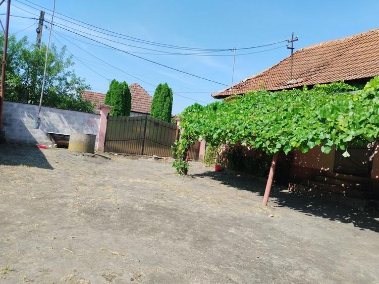 Casa la Brusturi -Teren 1800 mp - 5
