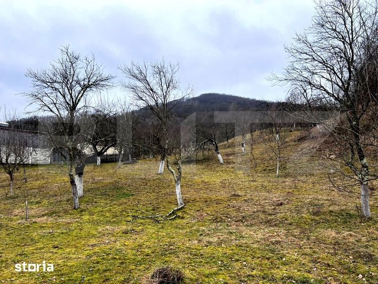 Teren de 3709 mp, în Stremț