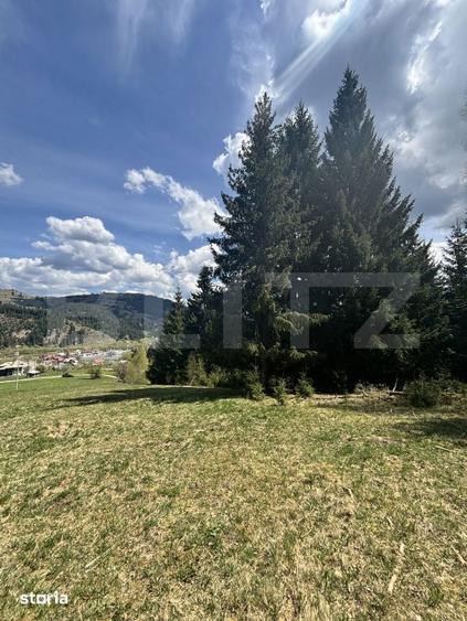 Teren in Vatra Dornei, str Rosu, 8450 mp, extravilan + intravilan - 10