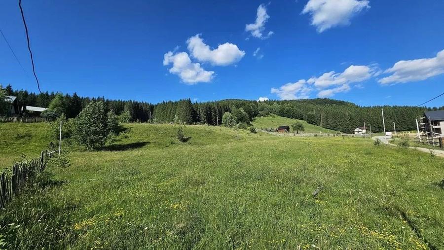 Teren Construcții intravilan de 2290 mp, în Trăisteni