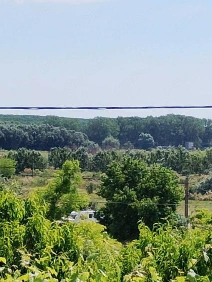 Teren de 706 mp, în Mahmudia