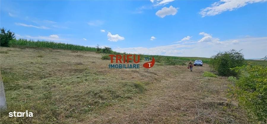 Spațiu comercial, în Ciugud