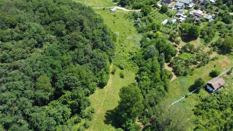 Teren Construcții intravilan de 5681 mp, în Vlădești