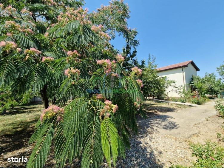 Casă cu 4 camere cu Teren 2936 Mp în Coșoveni