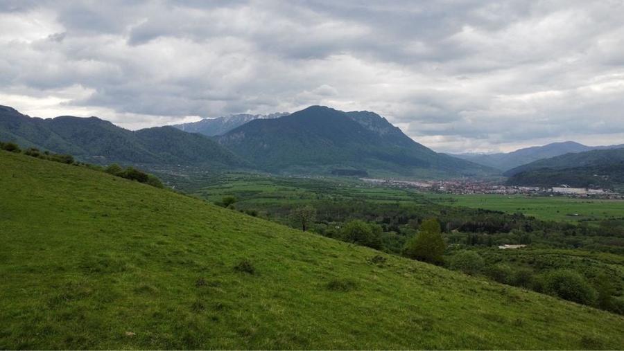 Spațiu comercial, în Tohanu Nou
