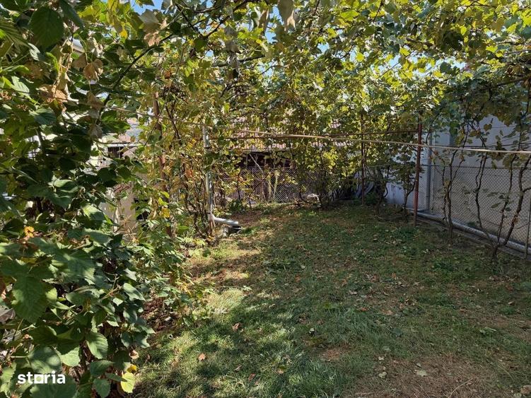 De vanzare casa 65 m2, teren 500 m2, str. Subpadure, Ludus - 12