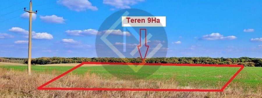 Teren Construcții intravilan de 91000 mp, în Snagov