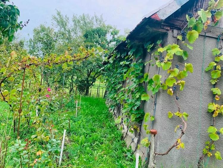 Casă cu Teren 862 Mp în Căpâlna