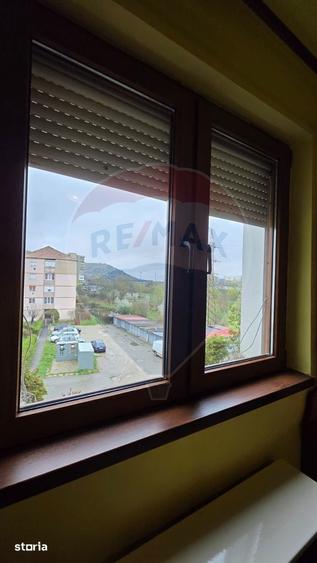 Apartament cu 3 camere de vanzare, str Tineretului - 4