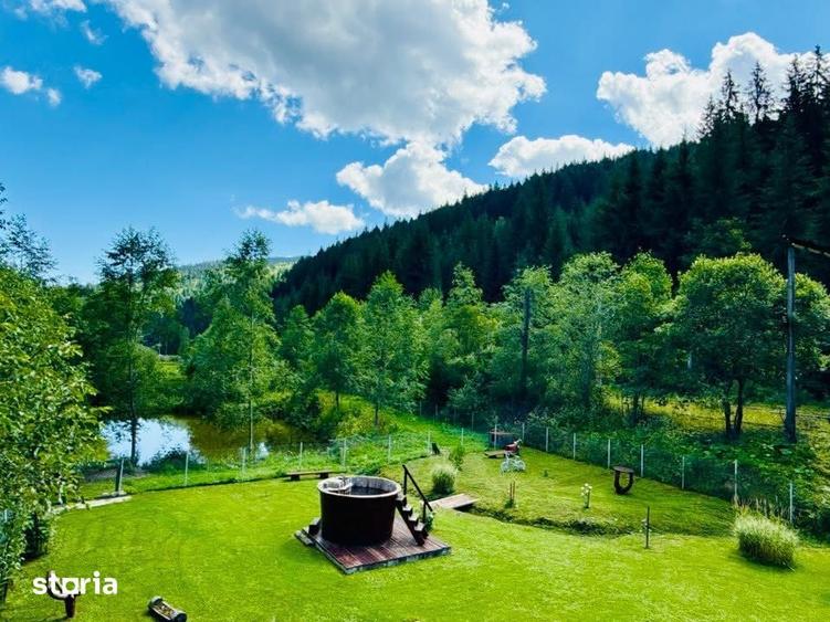 Casa de vanzare + 5.500 mp teren + 2 iazuri | Valea Putnei Pojorata - 1