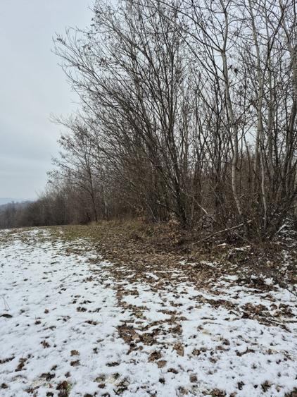 Teren de 2100 mp, în Cărbunari