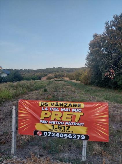 Spațiu comercial, în Curtișoara