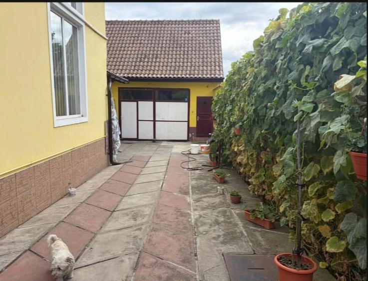 Casă cu Teren 300 Mp în Țiglari