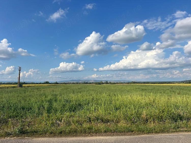 Teren de 73000 mp, în Lunca Ozunului