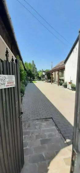 Casă cu 4 camere cu Teren 1101 Mp în Becicherecu Mic