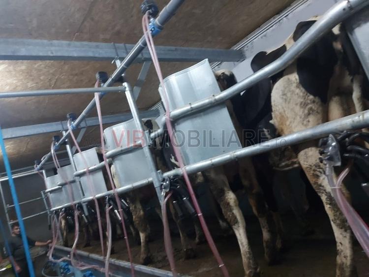 Teren extravilan de 40000 mp, în Cenad