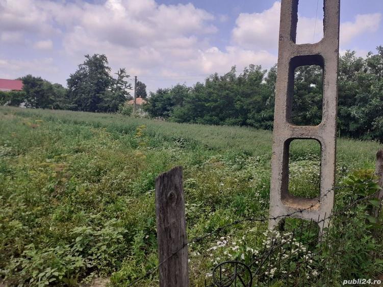 Teren de 1948 mp, în Brăești