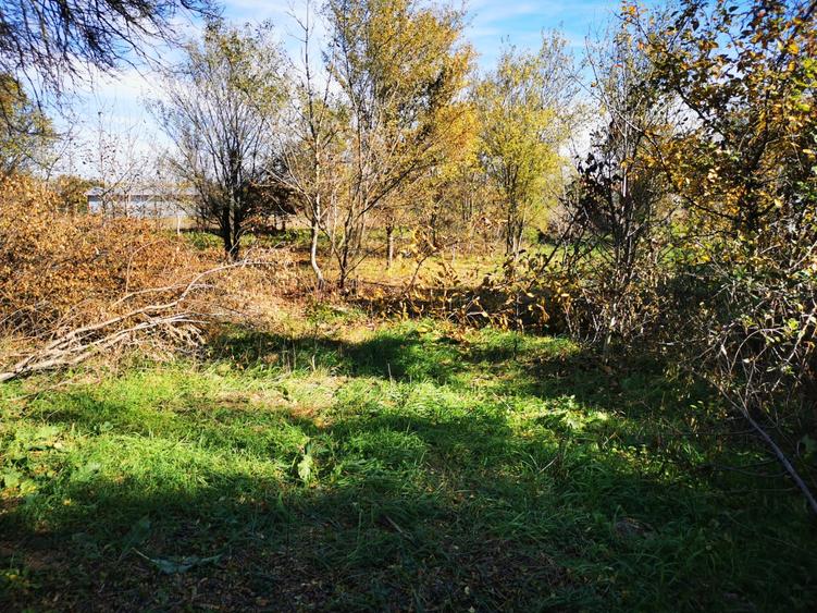 Casă individuală cu 2 camere cu Teren 2500 Mp în Gruiu