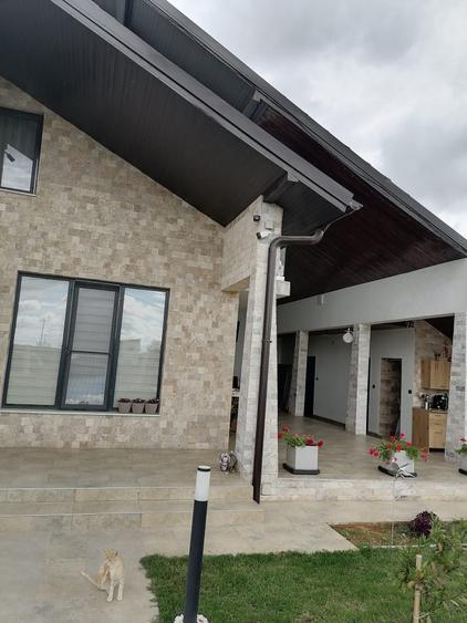 Casă cu 4 camere în Schela Cladovei