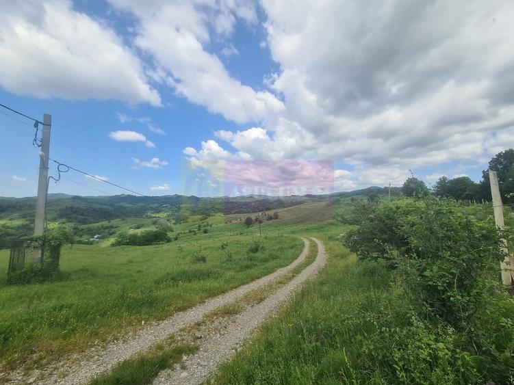 Teren agricol intravilan de 9037 mp, în Plaiul Tălii