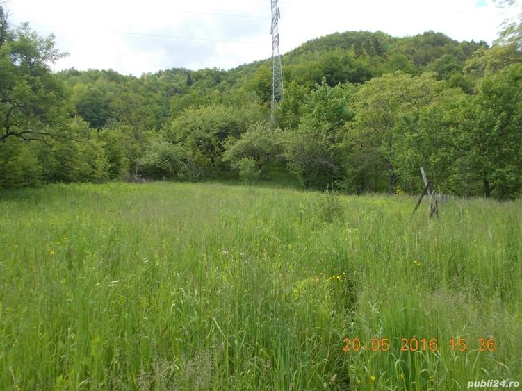 Teren de 2300 mp, în Central