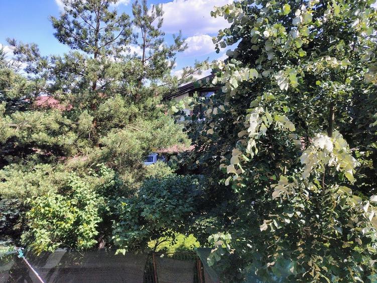 | House Villa Corbeanca - Vila individuala 230 mpu | - 47