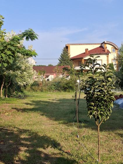 Teren de 500 mp, în Posta