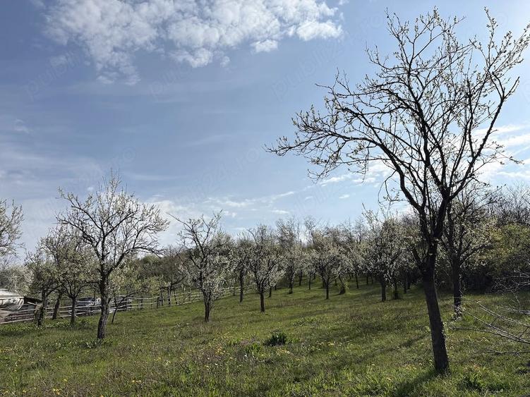 Teren de 5200 mp, în Măncioiu