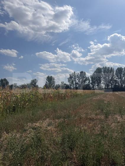 Teren de 9000 mp, în Nușfalău