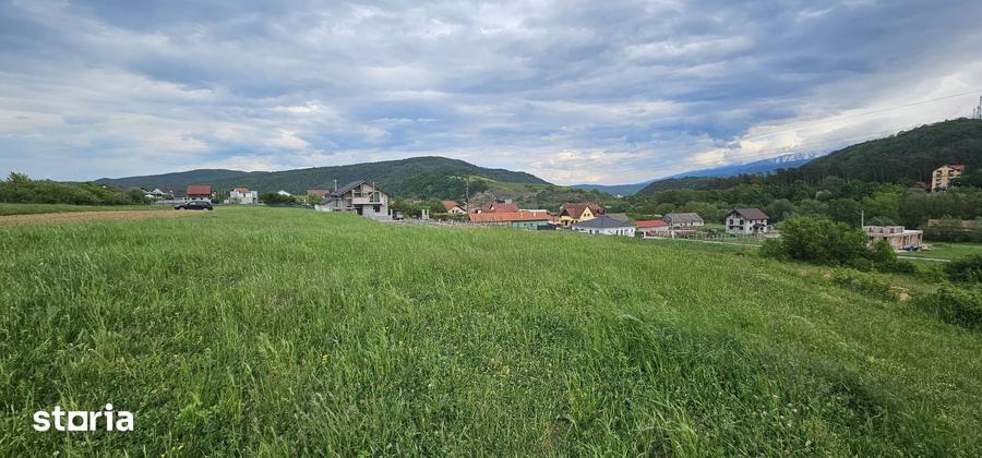 Teren de 1550 mp, în Central