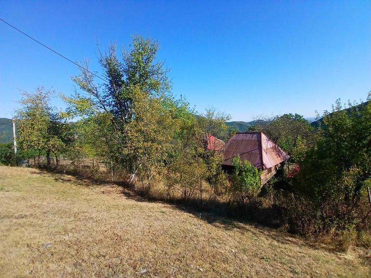 Casă cu 3 camere în Muntele Rece