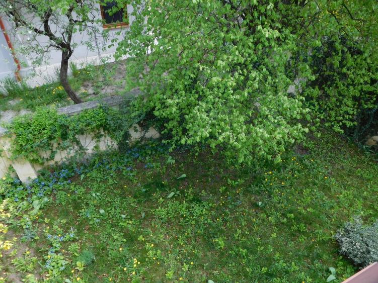 Casă cu 5 camere cu Canalizare în Andrei Mureșanu