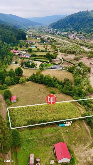 Teren de 1800 mp, în Mălini