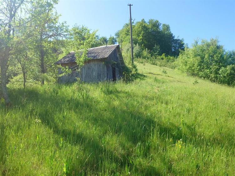 Casă individuală cu 3 camere cu Teren 34965 Mp în Blăjeni