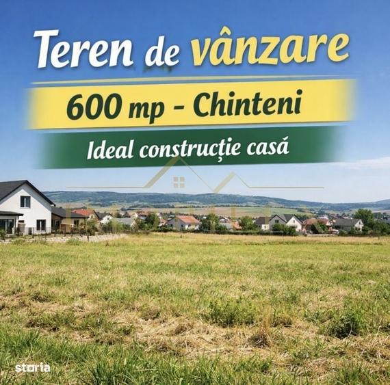 Spațiu comercial, în Chinteni