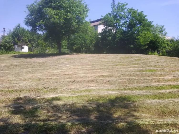 Teren de 4000 mp, în Copăceni
