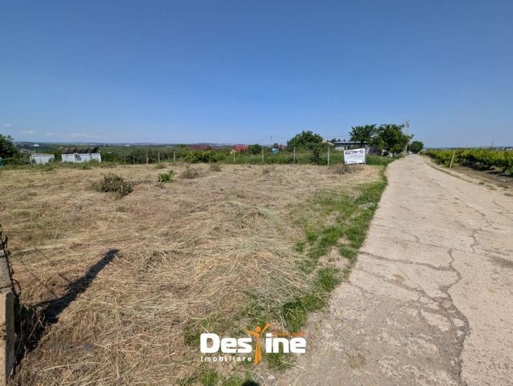 Teren Construcții intravilan de 974 mp, în Bârnova
