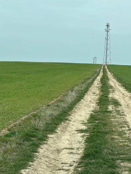 Propriatar vand 18 ha teren Herneacova - 1
