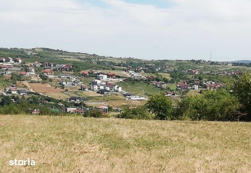 Teren de 10480 mp, în Paleu