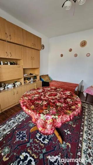 Apa, casa P+M,14 ari teren - 9