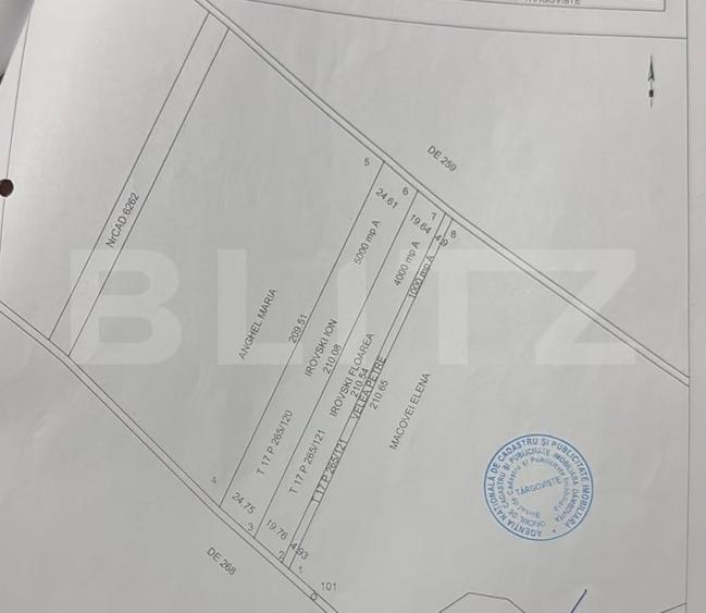 Teren agricol extravilan de 9000 mp, în Sud
