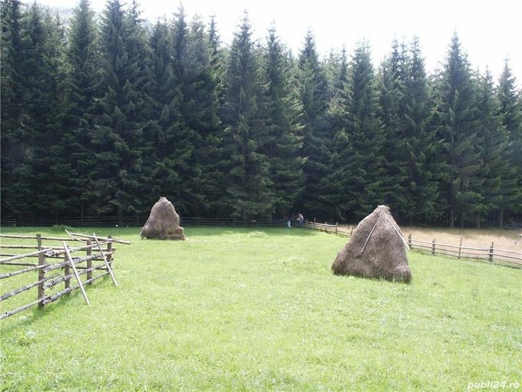 Teren de 2121 mp, în Valea Doftanei