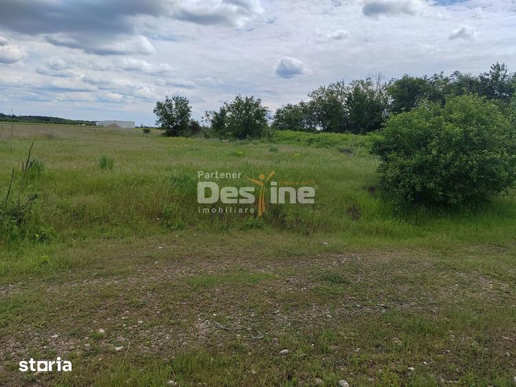 Teren de 114000 mp, în Ariceștii Rahtivani